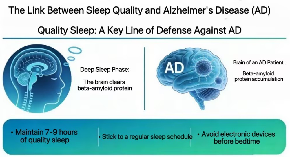 info-1001-541 info-1001-541