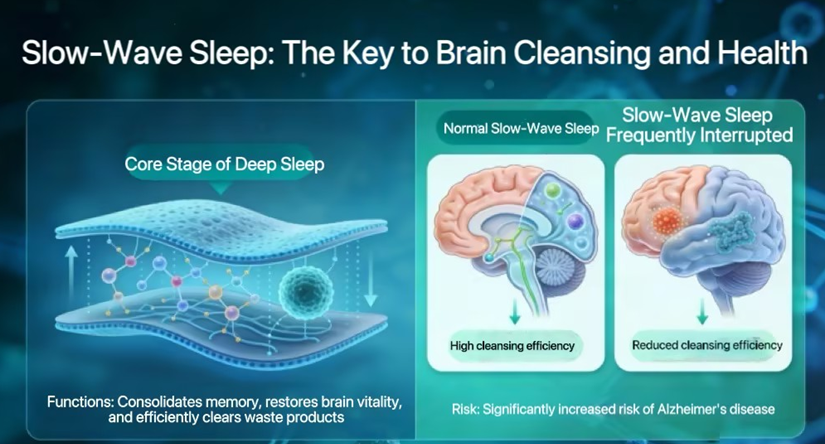 info-825-444 info-825-444